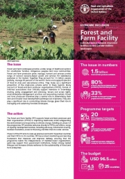 Forest and Farm Facility: Collective action towards improved livelihoods and climate-resilient landscapes